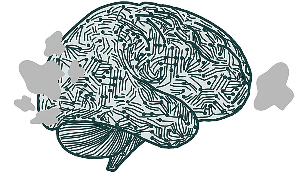 New Study Reveals How the Brain's Visual System Shapes Decision-Making